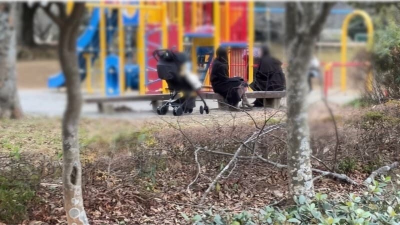 FC2-PPV-4821039 A Self-Proclaimed Influencer's Wife Plays in Park & Taken in Car