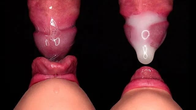 Close Up: Best Bottom View Condom Blowjob! She Broke the Condom and Starts Pl poster